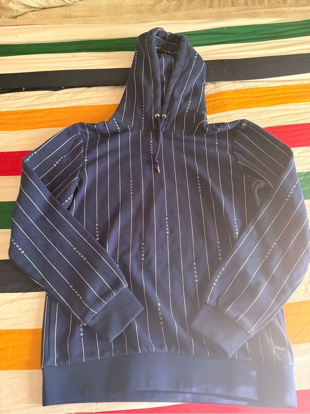 Scotch & Soda Navy Pinstripe Hooded Sweatshirt